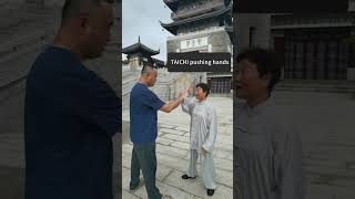 The TaiChi basic movement