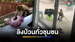 แสบสมชื่อ ลิงป่วนทั่วชุมชน ทำชาวบ้านปวดหัวไม่เว้นวัน | จ้อข่าวเช้า