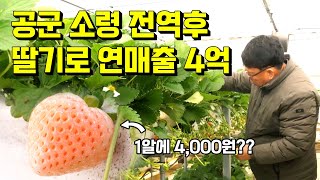 25년 군생활 접고 귀농해 🍓 딸기로 연매출 4억에 성공한 농부 이야기!