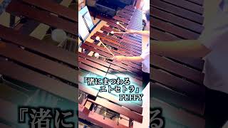 『渚にまつわるエトセトラ』 PUFFY / Marimba Solo Cover【毎日投稿】#shorts #marimba  #music