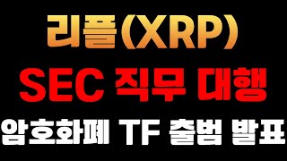 [리플코인] SEC 직무대행, 암호화폐 데스크포스(TF) 출범 발표!