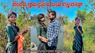 Girel Phool Tuli Jauchhen Madhu Sange Sambalpuri Vlog Video Roshan Vlogs Sundargarh ￼