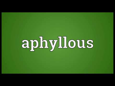 What does Aphyllous mean?