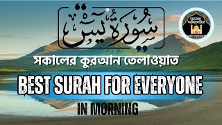 সকালের সেরা সূরা | Start Your Day with Allah's Blessings | Surah Mulk Recitation \u0026 Benefits #surah