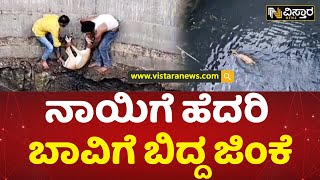 ಬಾವಿಗೆ ಬಿದ್ದ ಜಿಂಕೆಯನ್ನು ರಕ್ಷಿಸಿದ ಗ್ರಾಮಸ್ಥರು | Deer fell into the well due to fear of dogs