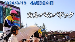 しゃべるカルパ（ソダシの弟）の札幌12Rパドック　2024/8/18 札幌記念の日