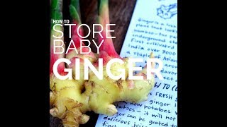 How to Store Baby Ginger