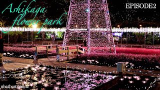 Japan Christmas Light of Ashikaga Flower Park【EPISODE 2】| 4K Japan Walk | #explorejapan #japan #4k