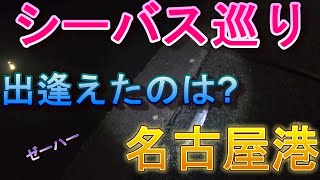 【シーバス】【名古屋港】名古屋港にシーバス巡りしてきました！