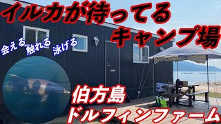 「アウトドア」イルカさんの横でキャンプが出来る！【ドルフィンファーム】