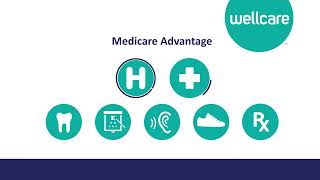 2023 WellCare Medicare advantage Sales Video Español