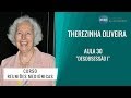 THEREZINHA OLIVEIRA - REUNIÕES MEDIÚNICAS - AULA 30 - 