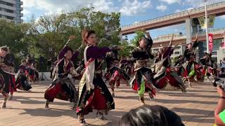 神戸神舞2019京都西陣よさこいチーム阿国