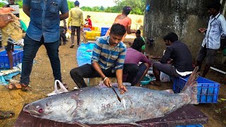 വാടി കടപ്പുറത്തെ മീൻപിടുത്തവും മീൻ കട്ടിംഗും, കാണാൻ തന്നെ എന്തൊരു രസമാണിത്‌, Fishing \u0026 Fish Cutting