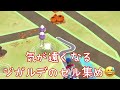 【ポケモンgo】ゾロアを狙っていたら、まさかの色違いをゲットした！