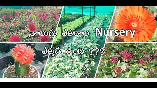 నాలుగు ఎకరాల నర్సరీ ఎక్కడ ఉంది ??? // 4 Acres Nursery where it is located ???