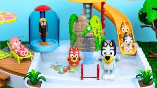 BLUEY y BINGO van a la Piscina | Juguetes de Bluey en Español