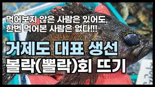 [4K] 먹어보지 않은 사람은 있어도, 한번 먹어본 사람은 없는 거제도 대표 생선 볼락회! 먹어본 사람만 그맛을 압니다. [수아아빠TV]