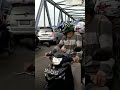 Babi Lepas Di Jalan Tol Macet Pontianak #shorts #shotbeta #video