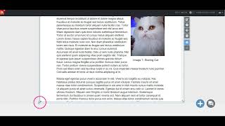 Adding a document to your Digication ePortfolio