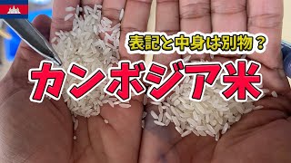 カンボジア米の裏話！安い米には理由あり！【カンボジア農業】