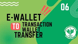 Ewallet to transaction wallet