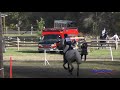 158xc sara mackenzie on cowboy cassanova open training cross country aspen farms sept. 2018