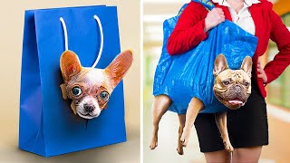 15 Formas de Llevar Animales a la Universidad / Trucos y Bromas con Animales