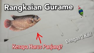 Rangkaian Gurame Untuk Mancing Kolam