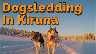 Dogsledding in Kiruna, Sweden