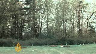 'Ecofunerals' on the rise in the US