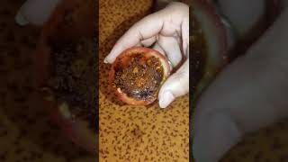 Viral Tomato Scrub For Glowing Skin ll #youtubeshorts #viralvideo #glassskin #skinwhitening