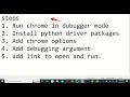 Open driver on existing browser: Selenium Python