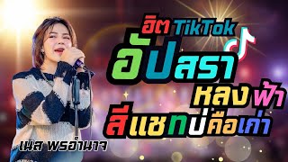 #ฮิตในtiktok คอนเสิร์ตเนส พรอำนาจ อัปสราหลงฟ้า/สีแชทบ่คือเก่า/นางฟ้าจำแลง