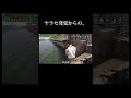 会長の実力をノーカットで、 キャンプ サバイバル 大学生 vlog サバイバル生活 つりチャンネル 無人島生活 fishing travel camping