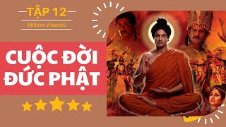 Cuộc đời Đức Phật tập 12 | Vua cha dự tính hôn nhân cho Siddhatta | Phim Phật Giáo Ấn Độ