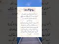 Urdu Quotes Shorts||Urdu Quotes||Shorts Video||Islamic Quotes||Urdu Poetry||Viral