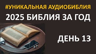 День 13. Библия за год. Библейский ультрамарафон портала «Иисус» 2025