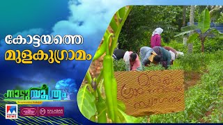 എരിവിന് സ്നേഹത്തിന്‍റെ പുതിയ രുചി; കോട്ടയംകാരുടെ മുളകുഗ്രാമം|Nattusoothram | Kottayam | Organic farm