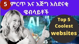 5 ምርጥ እና አስደናቂ የAI  ድህረ ገጾች(Top 5 AI Coolest and amazing Website)