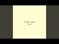 Fragile Lullaby
