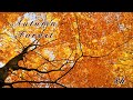 Relaxing Nature Sounds: Autumn Forest Tranquility, Birds Singing, Fall Colours - Sleep & Relax 8 Hrs