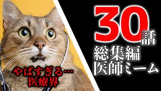 【寝落ち用総まとめ猫ミーム１～３０】大学病院にて医師として勤める医師が猫ミームを作ったら #vtuber  #医師解説 #catvtuber