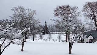 2024.12.7牧歌の里の天気【雪】雪の花が咲きました❄️