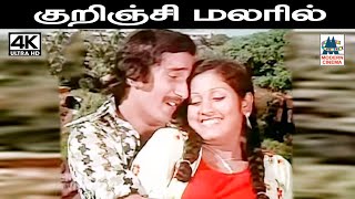 Kurinji Malaril  Kurinji Malaril Songs குறிஞ்சி மலரில் இளையராஜா இசையில் SPB வாணிஜெயராம் பாடிய பாடல்