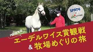 SPAT4×ホッカイドウ競馬「門別競馬場エーデルワイス賞（JpnⅢ）観戦＆牧場めぐりの旅」