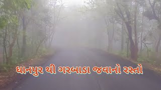 ધાનપુરથી  અંદાજે 6 km ગરબાડા જતા રાછવાનોઘાટો વિસ્તારનો સુંદર @SunriseJungleBeat @animalshome467