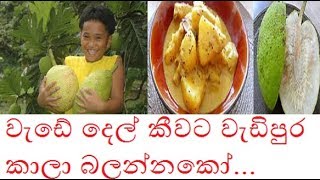 වැඩේ දෙල් කීවට වැඩිපුර කාලා බලන්නකෝ...