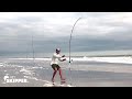 SCAVANGED BAIT Catches EVERYTHING! Beach Fishing w/ Free Bait