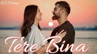 Tere Bina | New Song 2025 | Love Song | Romantic Song |#viralsong #terebina #viratkohli #newsong